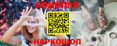 сатива Будённовск
